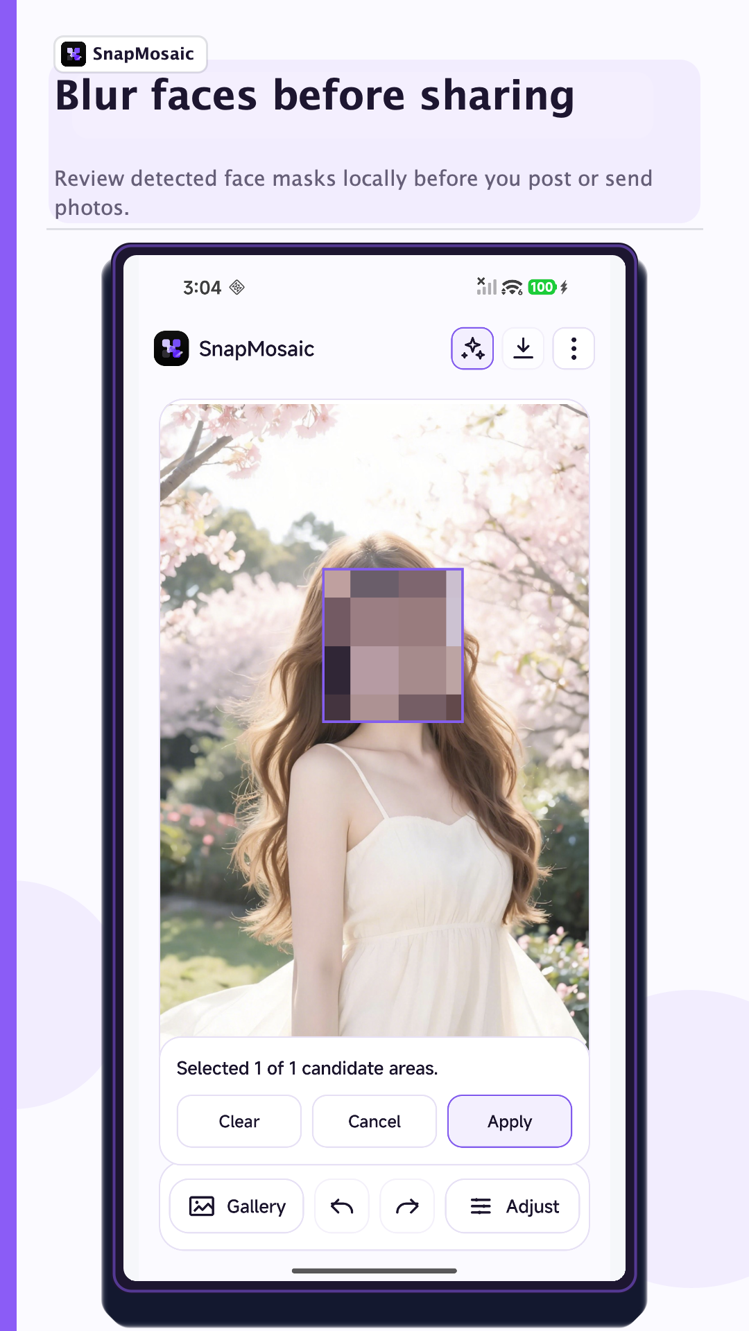 SnapMosaic 1.5.0 smart face masking preview