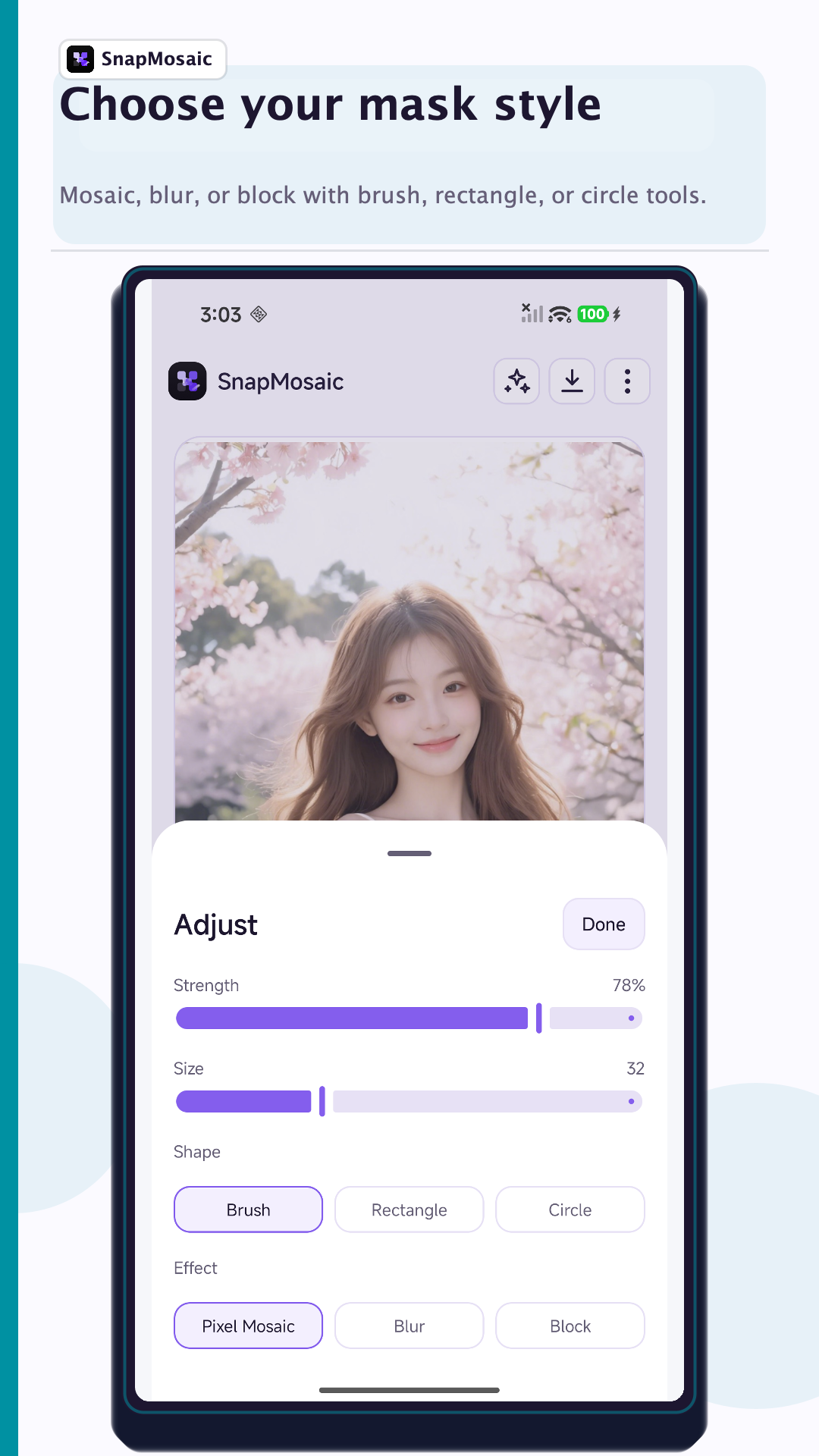 SnapMosaic 1.5.0 mask style adjustment preview