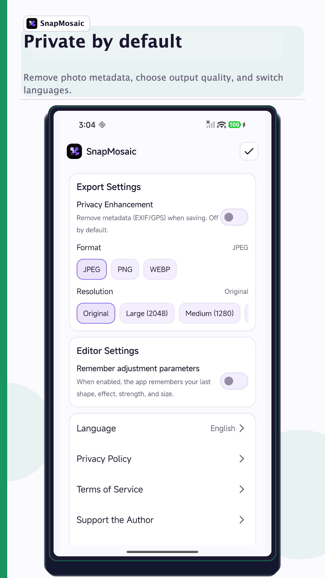 SnapMosaic 1.5.0 privacy export settings preview